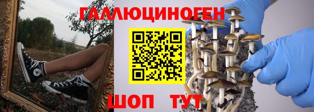Галлюциногенные грибы Psilocybe  даркнет сайт  Унеча  Вход с VPN 
